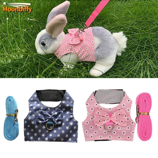 Small Animal Harness Set: Cute Outdoor Attire