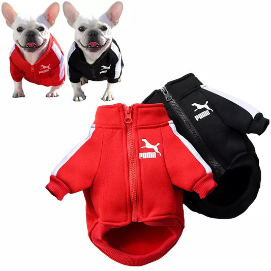 Baseball Winter Dog Jacket