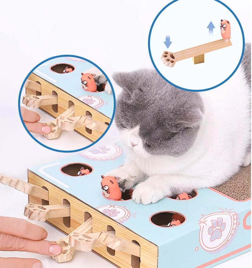 Cat Playing Toy