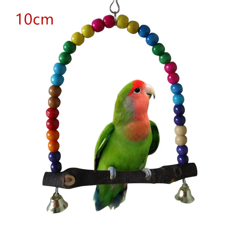 Colorful Bird Parrot Swing