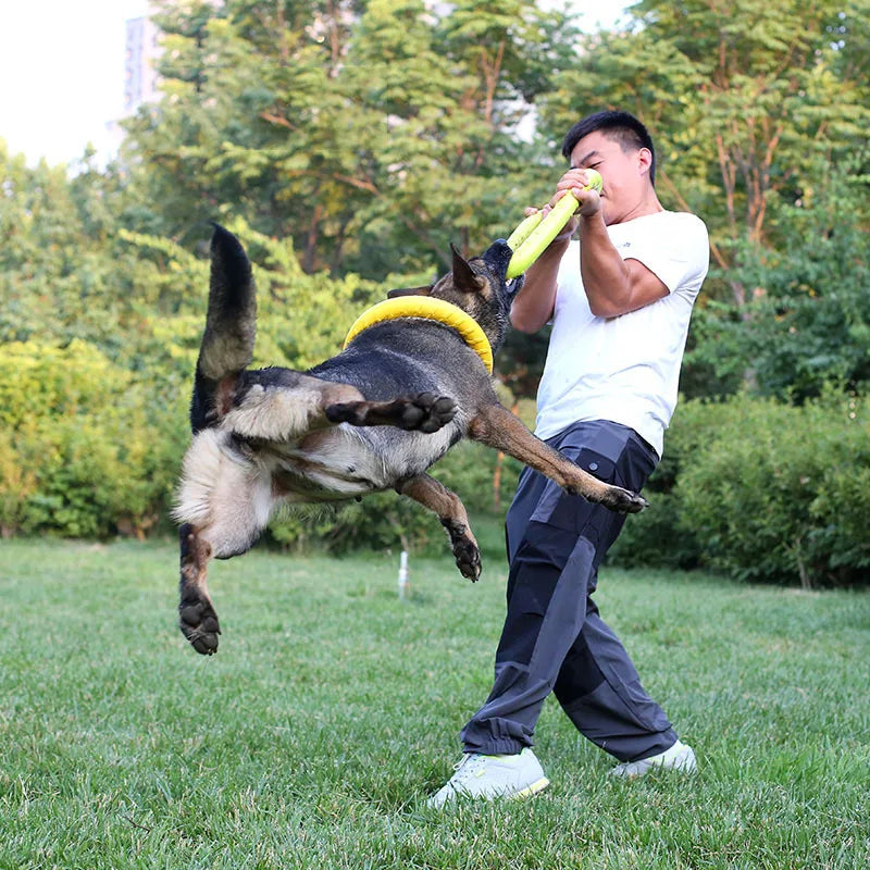 Frisbee-Spielzeug für Hunde