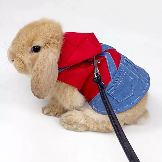 Cute Bunny Vest: Outdoor Harness Set