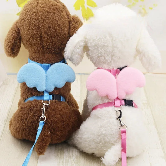 Angel Wing Pet Harness Set: Adorable Safety
