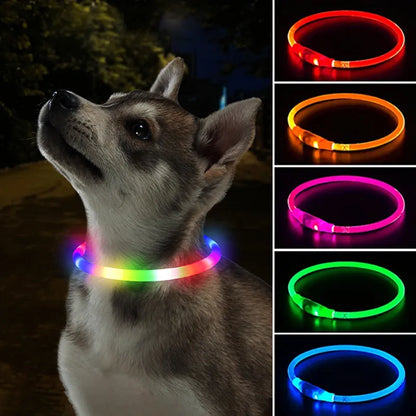 Buntes Hundehalsband mit LED