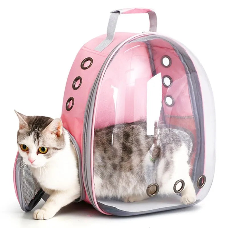 Transparent Capsule Pet Carrier Backpack