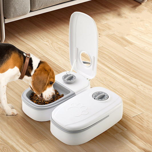 Smart Food Dispenser For Cats And Dogs