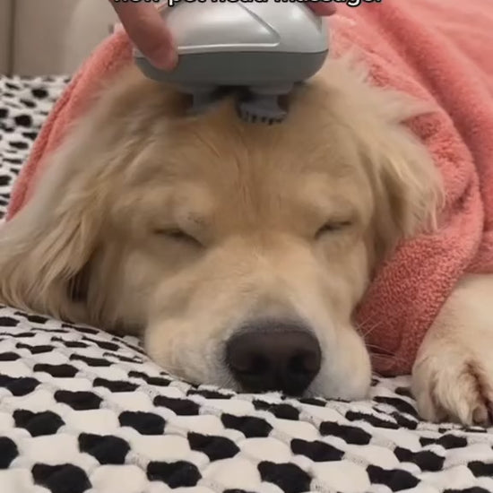 Dog Massager