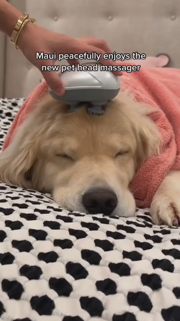 Dog Massager